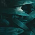 Startup Law: Avoiding Common Legal Pitfalls